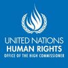 Haut-Commissariat des Nations unies aux droits de l'homme (HCDH)