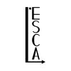 L'atelier de l'Écologie sociale du capitalisme avancé (l'ESCA)