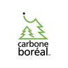 Carbone boréal