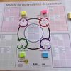 Plan d'animation  - Modèle de soutenabilité des communs