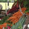 Local Roots Markets : dix ans de ventes de produits alimentaires locaux