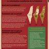 Palestine 101 - La colonisation isarélienne de la Palestine