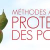 Méthodes alternatives de protection des pommiers (2013)