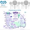 Infolettre PhiLab - Quels liens entre la philanthropie et la COP26