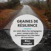 Graines de résilience: six mois dans les campagnes françaises pour comprendre les dynamiques territoriales de transition