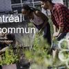 Les webinaires Montréal en commun