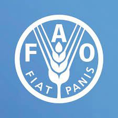 Organisation des Nations Unies pour l’alimentation et l’agriculture (FAO)