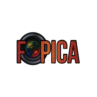 Fonds de Promotion de l'Industrie Cinématographique et Audiovisuelle (FOPICA)