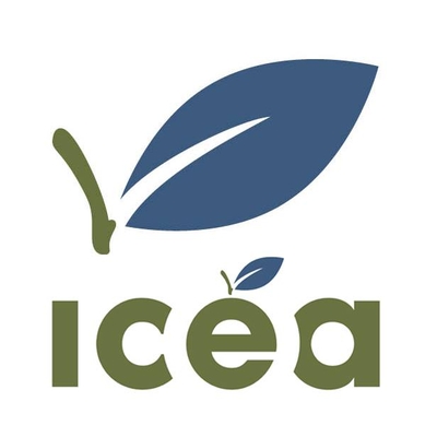 Institut de coopération pour l'éducation des adultes (ICÉA)