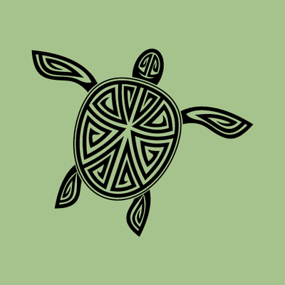 Nations autochtones de l’Île de la tortue - Enjeux, leviers et stratégies